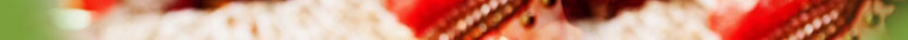 Court Marriage Delhi